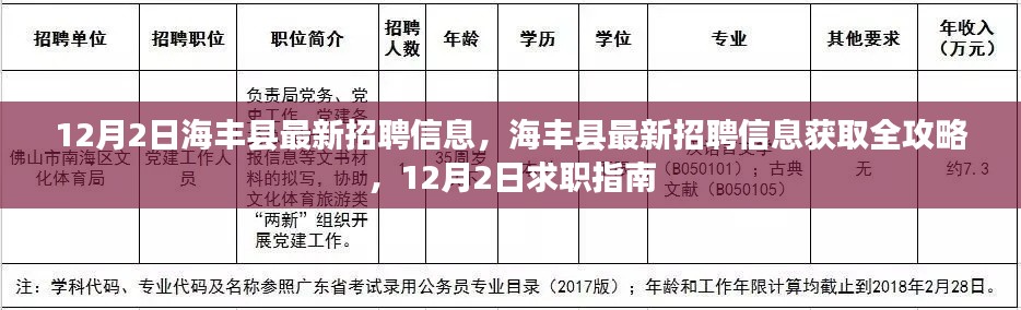 12月2日海豐縣最新招聘信息，海豐縣最新招聘信息獲取全攻略，12月2日求職指南