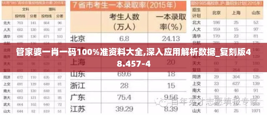 管家婆一肖一碼100%準(zhǔn)資料大全,深入應(yīng)用解析數(shù)據(jù)_復(fù)刻版48.457-4
