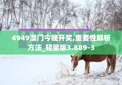 4949澳門今晚開獎,重要性解析方法_輕量版3.889-3
