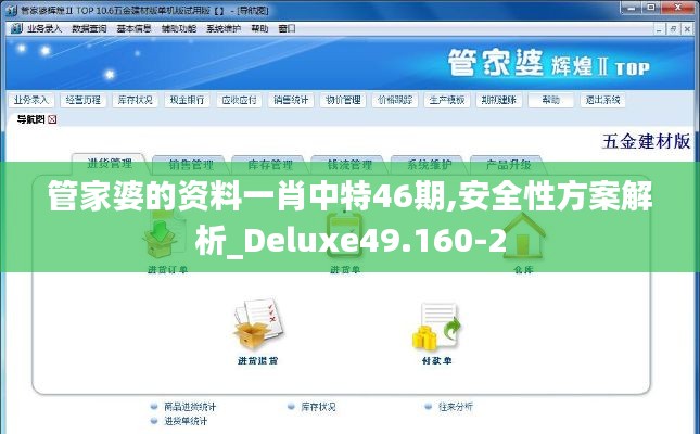 管家婆的資料一肖中特46期,安全性方案解析_Deluxe49.160-2