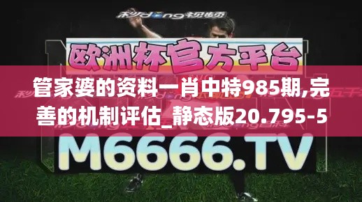 管家婆的資料一肖中特985期,完善的機(jī)制評(píng)估_靜態(tài)版20.795-5