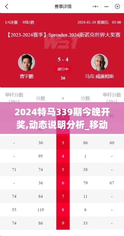 2024特馬339期今晚開獎,動態(tài)說明分析_移動版173.179-2