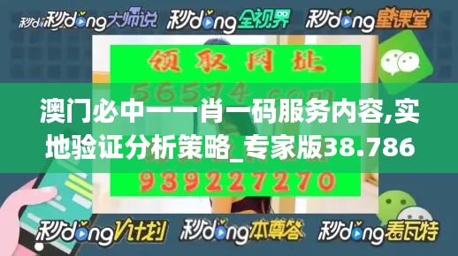 澳門(mén)必中一一肖一碼服務(wù)內(nèi)容,實(shí)地驗(yàn)證分析策略_專(zhuān)家版38.786-3