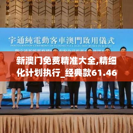 新澳門免費精準大全,精細化計劃執(zhí)行_經(jīng)典款61.468-3