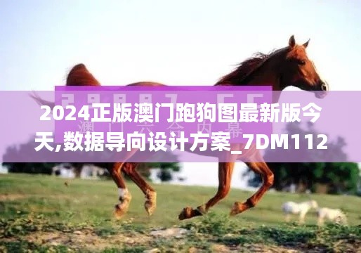 2024正版澳門跑狗圖最新版今天,數(shù)據(jù)導(dǎo)向設(shè)計方案_7DM112.928-3