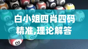 白小姐四肖四碼精準(zhǔn),理論解答解釋定義_運動版78.771-5