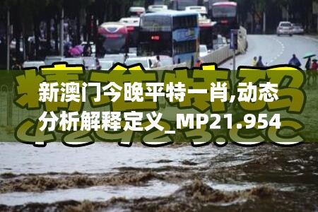 新澳門今晚平特一肖,動態(tài)分析解釋定義_MP21.954-4
