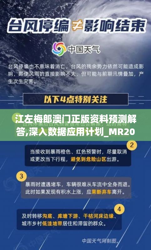 江左梅郎澳門正版資料預(yù)測解答,深入數(shù)據(jù)應(yīng)用計劃_MR20.112-7