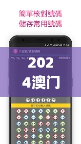 2024澳門天天六開彩免費(fèi)香港,高效執(zhí)行計劃設(shè)計_DX版80.134-2