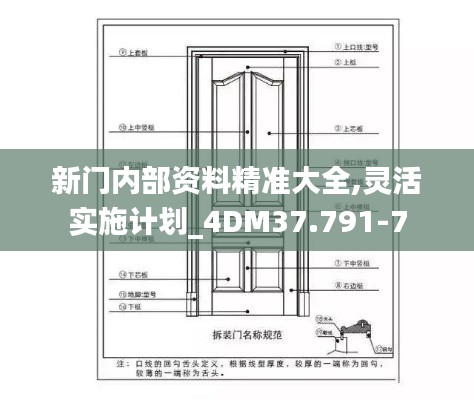 新門(mén)內(nèi)部資料精準(zhǔn)大全,靈活實(shí)施計(jì)劃_4DM37.791-7