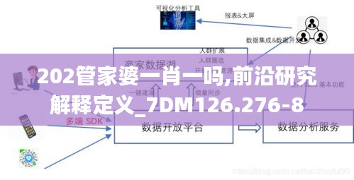 202管家婆一肖一嗎,前沿研究解釋定義_7DM126.276-8