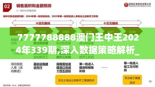 7777788888澳門王中王2024年339期,深入數(shù)據(jù)策略解析_3DM8.832-8