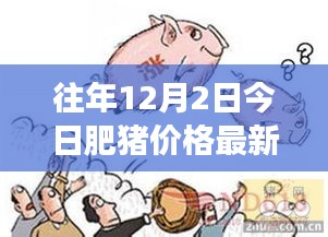 往年12月2日肥豬市場最新行情深度解析與回顧