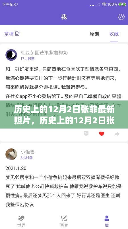 探尋張菲在時(shí)間印記下的最新面貌，歷史上的12月2日最新照片回顧