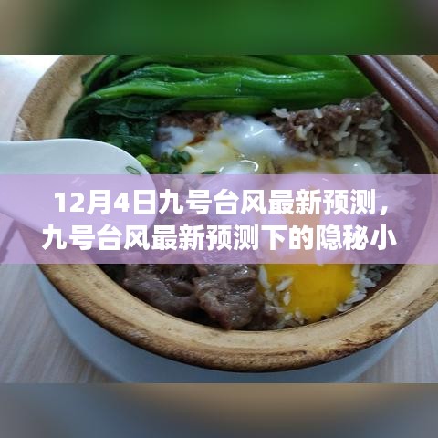 九號(hào)臺(tái)風(fēng)最新預(yù)測(cè)，隱秘小巷美食探險(xiǎn)之旅開啟