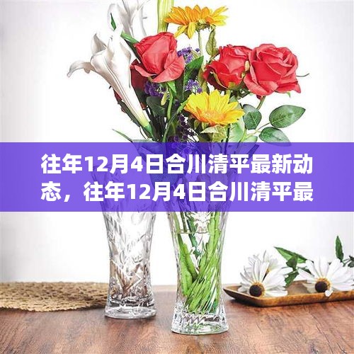 往年12月4日合川清平最新動態(tài)概覽，探索指南初學(xué)與進(jìn)階必讀