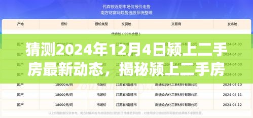 揭秘潁上二手房市場新動(dòng)態(tài)，特色小店與最新房源動(dòng)態(tài)預(yù)測（2024年12月4日）