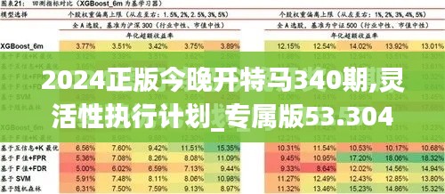 2024正版今晚開特馬340期,靈活性執(zhí)行計劃_專屬版53.304-8