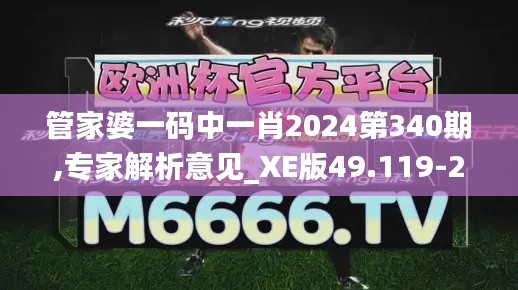 管家婆一碼中一肖2024第340期,專(zhuān)家解析意見(jiàn)_XE版49.119-2