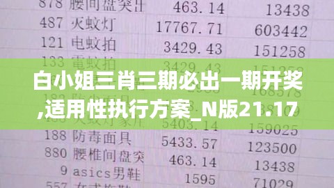 白小姐三肖三期必出一期開獎(jiǎng),適用性執(zhí)行方案_N版21.171-7