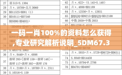 一碼一肖100%的資料怎么獲得,專業(yè)研究解析說(shuō)明_5DM67.322-2