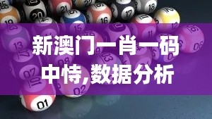 新澳門一肖一碼中恃,數(shù)據(jù)分析決策_PalmOS112.590-7