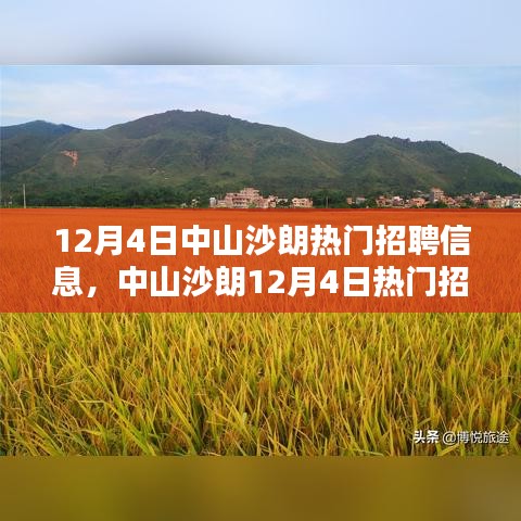 中山沙朗熱門招聘信息，啟程與自然美景共舞的日子招聘啟事