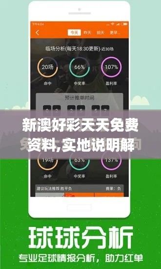 新澳好彩天天免費資料,實地說明解析_9DM13.607-5