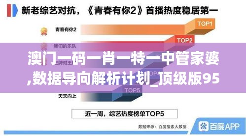 澳門一碼一肖一特一中管家婆,數(shù)據(jù)導向解析計劃_頂級版95.512-4