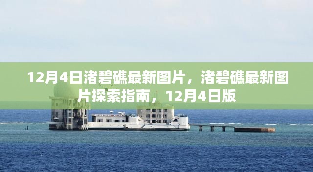 12月4日渚碧礁最新圖片，渚碧礁最新圖片探索指南，12月4日版