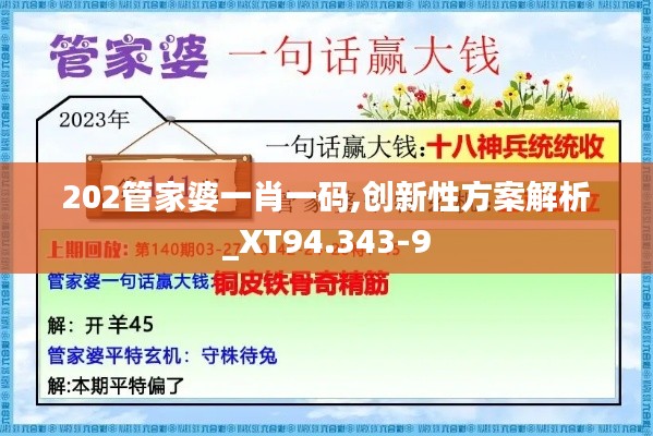 202管家婆一肖一碼,創(chuàng)新性方案解析_XT94.343-9