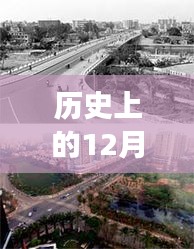歷史上的12月4日鄞州區(qū)濱海熱門招聘，探秘歷史鄞州，濱海巷弄里的秘密招聘與一家特色小店的故事