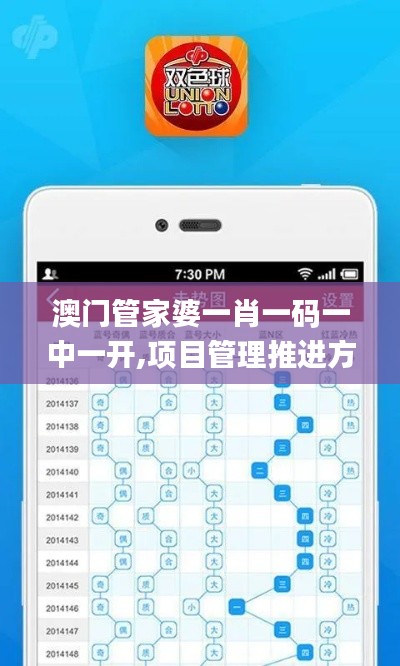 澳門管家婆一肖一碼一中一開,項(xiàng)目管理推進(jìn)方案_手游版43.678-6