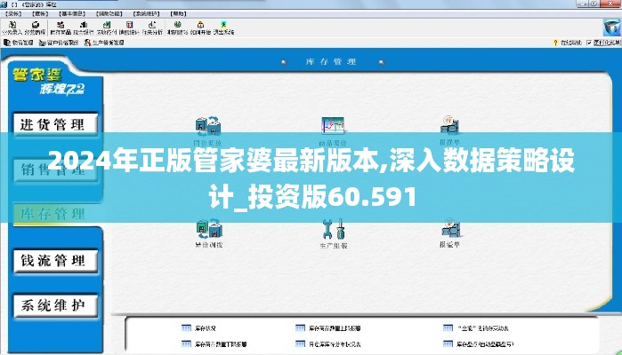 2024年正版管家婆最新版本,深入數(shù)據(jù)策略設(shè)計(jì)_投資版60.591