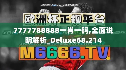 7777788888一肖一碼,全面說明解析_Deluxe68.214