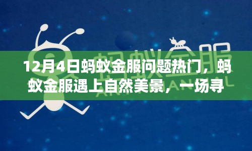 螞蟻金服與自然美景的奇妙心靈之旅，探尋內(nèi)心平靜之旅