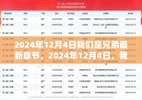 2024年12月4日兄弟情深揭秘，深厚情誼的最新章節(jié)