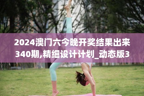 2024澳門六今晚開獎結(jié)果出來340期,精細設(shè)計計劃_動態(tài)版38.482-7