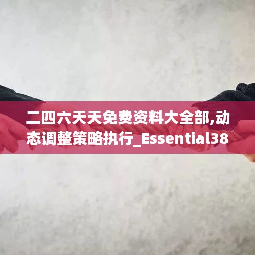 二四六天天免費資料大全部,動態(tài)調整策略執(zhí)行_Essential38.621