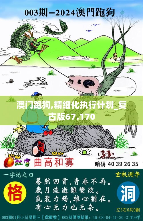 澳門跑狗,精細(xì)化執(zhí)行計(jì)劃_復(fù)古版67.170