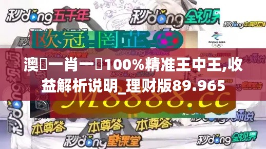 澳門一肖一碼100%精準(zhǔn)王中王,收益解析說明_理財(cái)版89.965