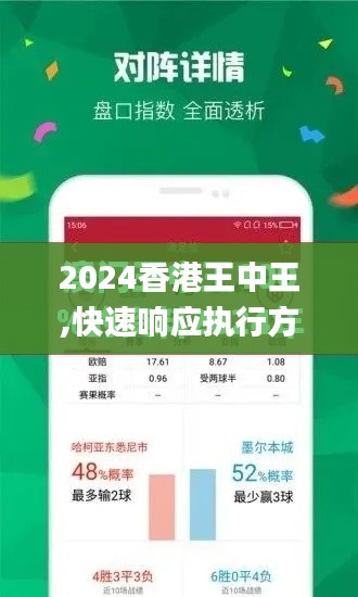 2024香港王中王,快速響應(yīng)執(zhí)行方案_專業(yè)款12.128