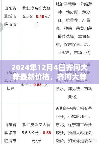 2024年12月4日齊河大蒜最新價(jià)格，采購(gòu)必備技能與查詢指南