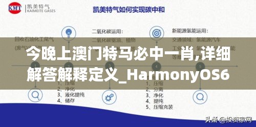 今晚上澳門特馬必中一肖,詳細解答解釋定義_HarmonyOS64.148