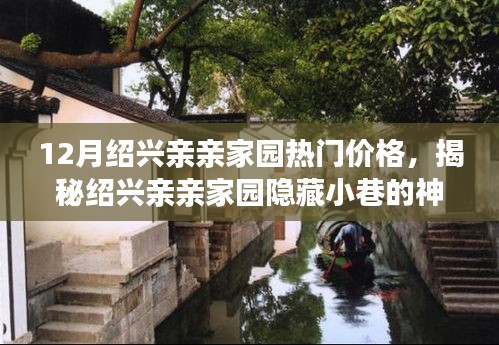 揭秘紹興親親家園隱藏小巷的神秘小店，12月熱門價格探秘之旅