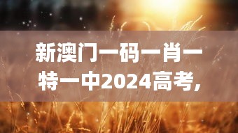 新澳門一碼一肖一特一中2024高考,靈活性計(jì)劃實(shí)施_桌面款123.321