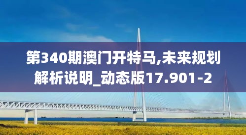 第340期澳門開特馬,未來規(guī)劃解析說明_動態(tài)版17.901-2