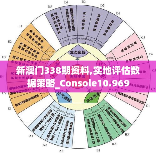 新澳門338期資料,實(shí)地評估數(shù)據(jù)策略_Console10.969
