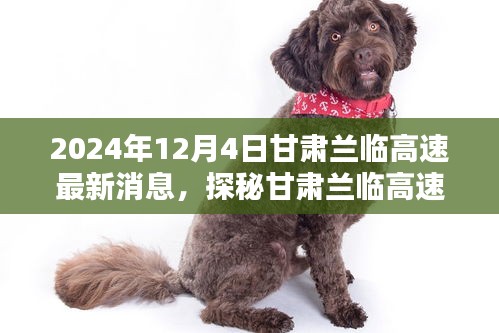 甘肅蘭臨高速最新動(dòng)態(tài)，小巷特色小店與蘭臨高速新進(jìn)展探秘（2024年12月4日）