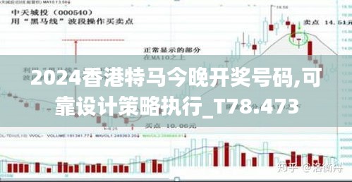 2024香港特馬今晚開獎號碼,可靠設(shè)計策略執(zhí)行_T78.473